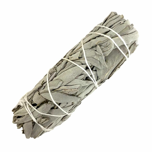 White Sage Smudge – Bundle 6″