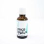 Eucalyptus Essential Oil - Glass Dropper (1oz)