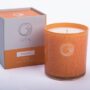 Mango Candle