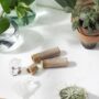 Kissable Lips / Chapstick Lip Balm / PAPERBOARD Tube