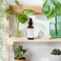 Love Potion #2 Organic Toilet Spray / Modesty Spray / Odor Spray /