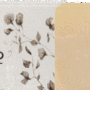 Oatmeal Soap