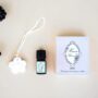 Hanging Flower Porcelain Room Diffuser with Refresh Bergamot Aroma Oil