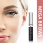 Mega Brow