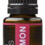 Cinnamon Bark Pure Essential Oil - 15ml