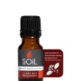 Organic Clove Bud Essential Oil (Eugenia Caryophillus) 10ml