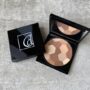 multi-colored Bronzing powder