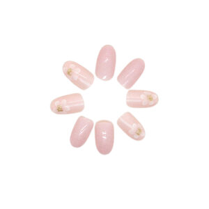Press On Nails Kit with Glue and gel stickers Reusable Tips