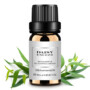 Eucalyptus Pure Essential Oil 10ml