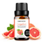 Grapefruit Pure Essential Oil 10ml