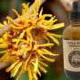 Witch Hazel Distillate Organic