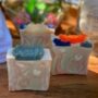 Berry Clean Succulent Soap Made With Essential Oils