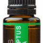 Eucalyptus Radiata  Pure Essential OIl-15ml