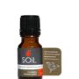 Organic Fennel Essential Oil (Foeniculum Vulgarus) 10ml