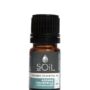 Organic Chamomile, German Essential Oil (Matricaria Recutita) 5ml