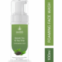 Neolith Green Tea and Tea Tree Foaming Face Wash || Acne Control, Skin