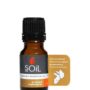 Organic Ginger Essential Oil (Zingiber Officinale) 10ml