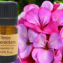 Rose Geranium Essential Oil 15ml