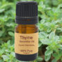 Thyme Essential Oil Organic 15ml
