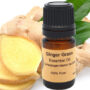Ginger Essential Oil 15 ml