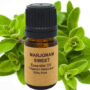 Marjoram Essential Oil (Sweet) 15ml