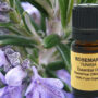 Rosemary Essential Oil (Organic) 15ml