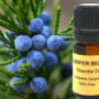 Juniper Berry Essential Oil 15ml