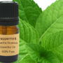 Peppermint Essential Oil  15ml