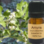 Amyris Essential Oil  15ml