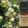 May Chang Essential Oil  15ml