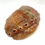 Abalone Shell Incense Holder