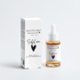 Ginkgo Booster - Mindful Radiance - Antioxidant Ginkgo Gel Booster
