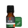 Organic Thyme Essential Oil (Thymus Vulgaris) 10ml