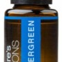 Wintergreen Pure Essential Oil - 15ml
