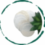 Natural Loofah Pads 5-pcs