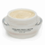 Glow Boosting Cool Elixir for Luminous and Hydrated Skin