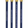 Moments of Genius Navy Blue Crown Pen Set of 12 | Giftable Quote Pens