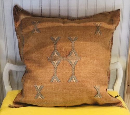 Clay Cactus Silk Throw Pillow