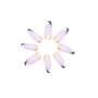 Press On Nails Kit with Glue and gel stickers Reusable Tips