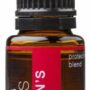 Dragon's Breath: Protective/Immunity Blend Pure Essential Oil - 15ml