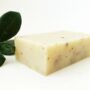 Forest Tonic Soap (Vegan, 85% Organic)