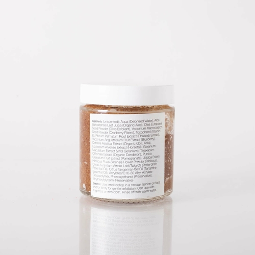 Blueberry Bliss Face Scrub