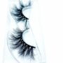 Lashes - Lash Bae - Old Money